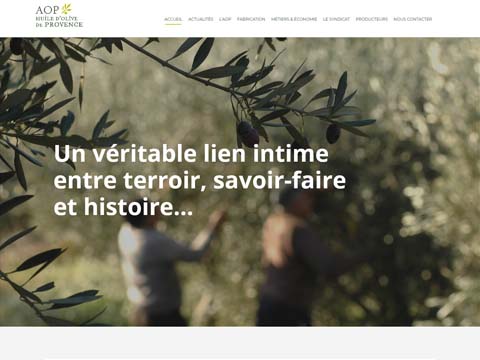 Visuel du projet de AOC Huile d'Olive de Provence